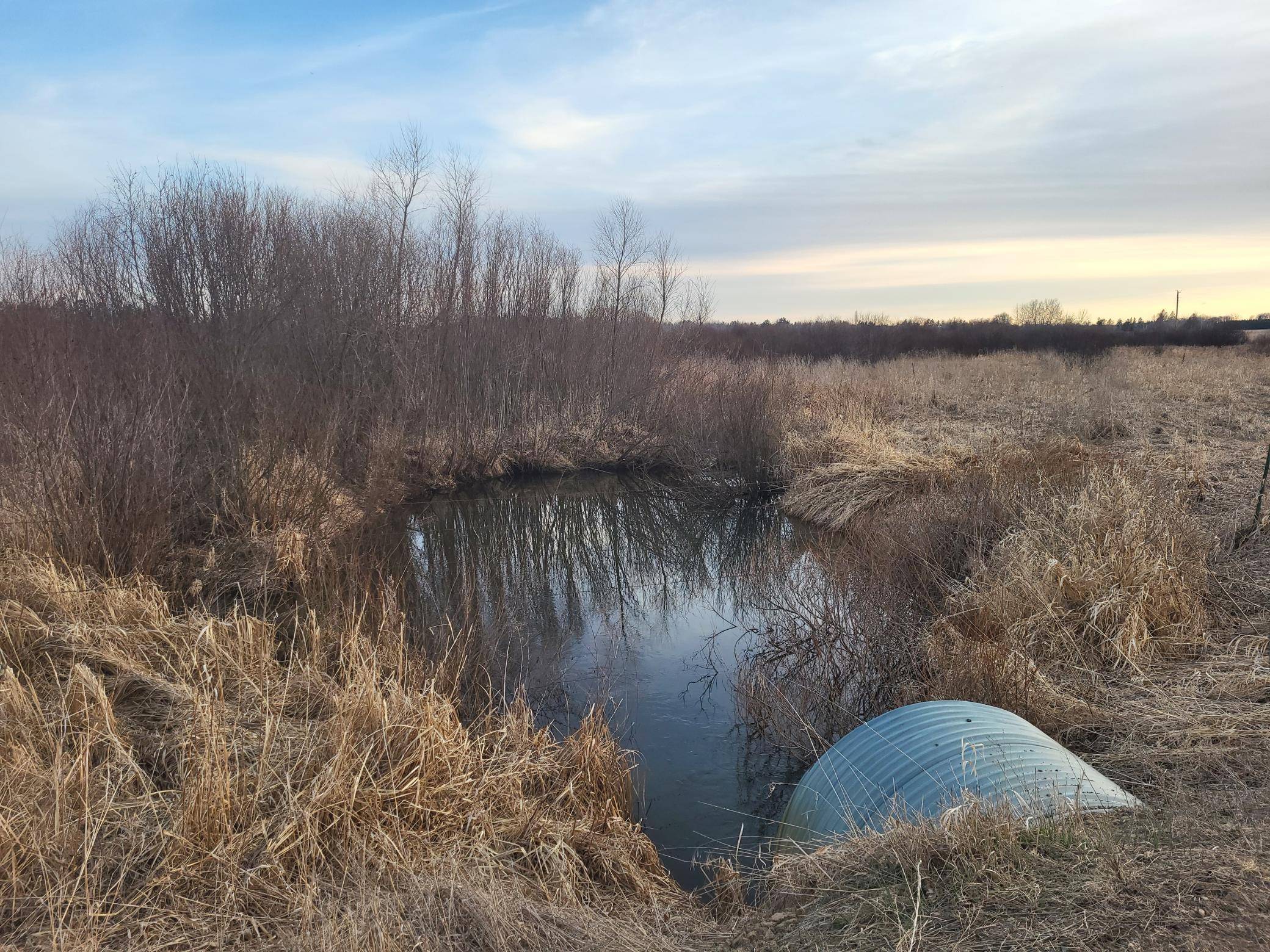 Verndale, MN 56481,79.61 acres 83rd Ave SW