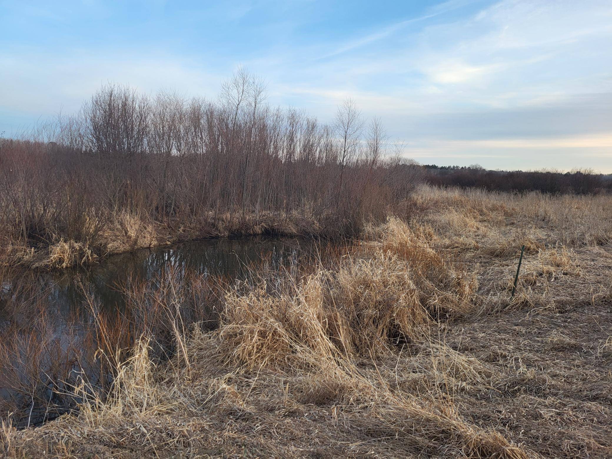 Verndale, MN 56481,79.61 acres 83rd Ave SW