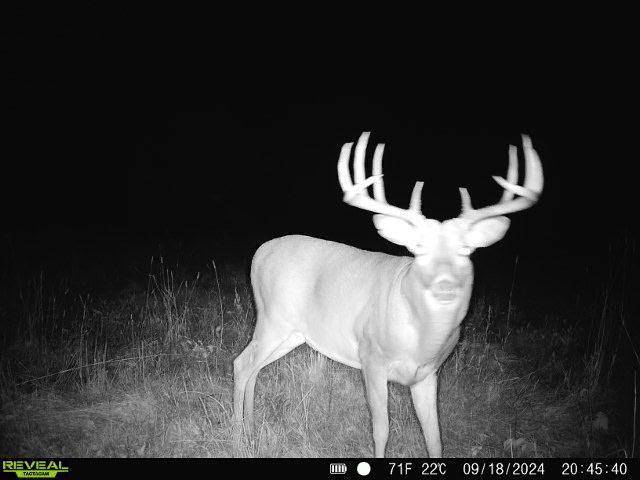 Verndale, MN 56481,79.61 acres 83rd Ave SW