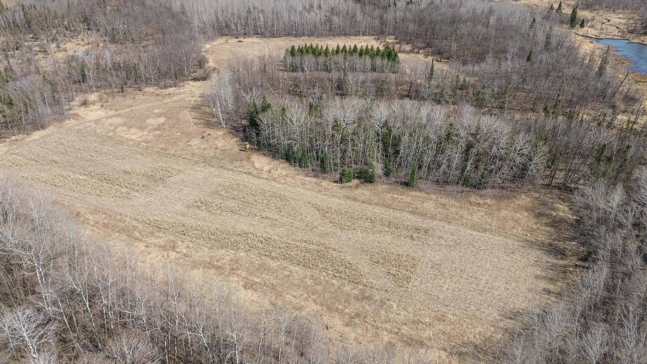 Menahga, MN 56464,TBD Co Hwy 40