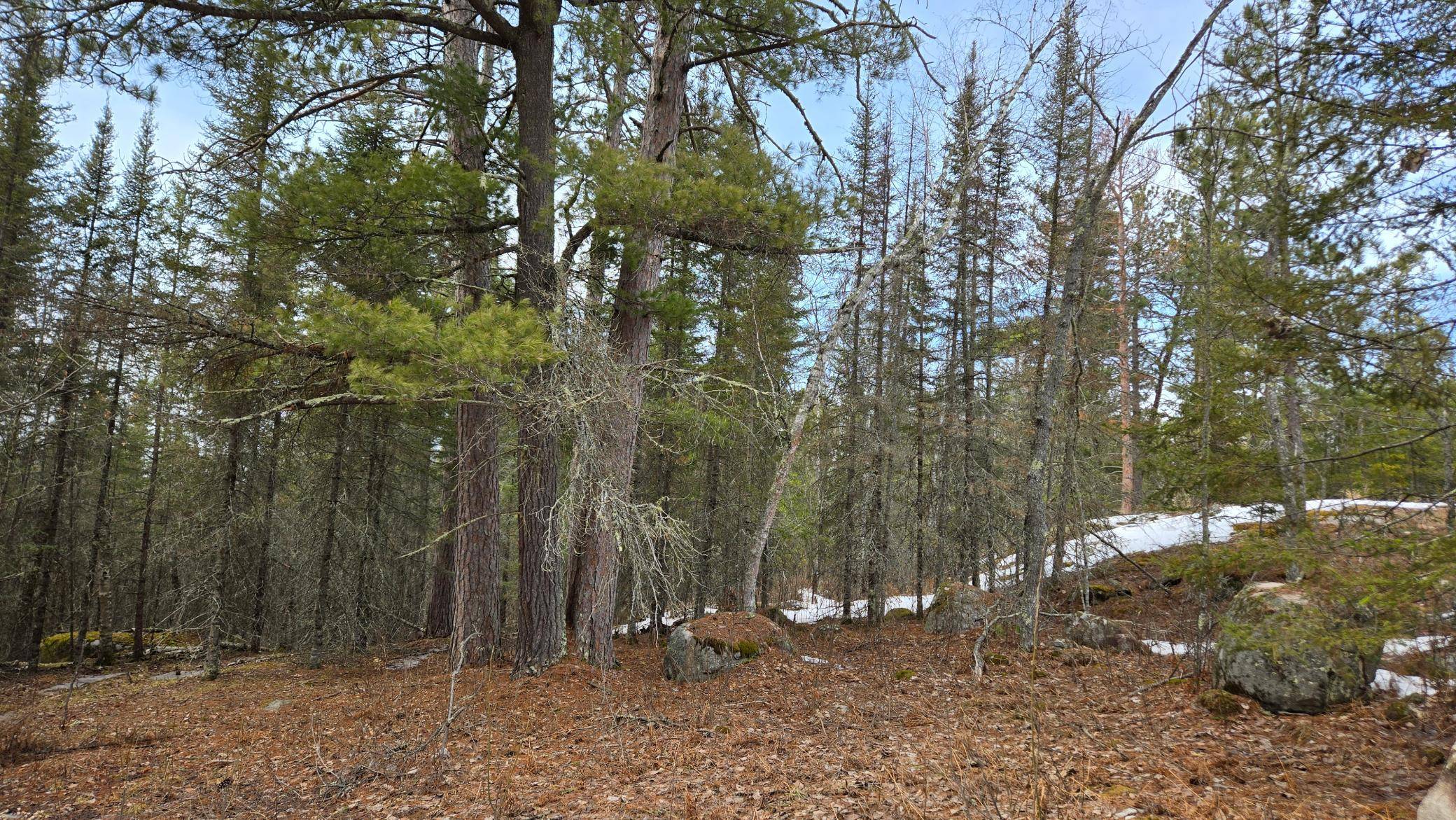 Crane Lake, MN 55725,7316 Crane Lake RD