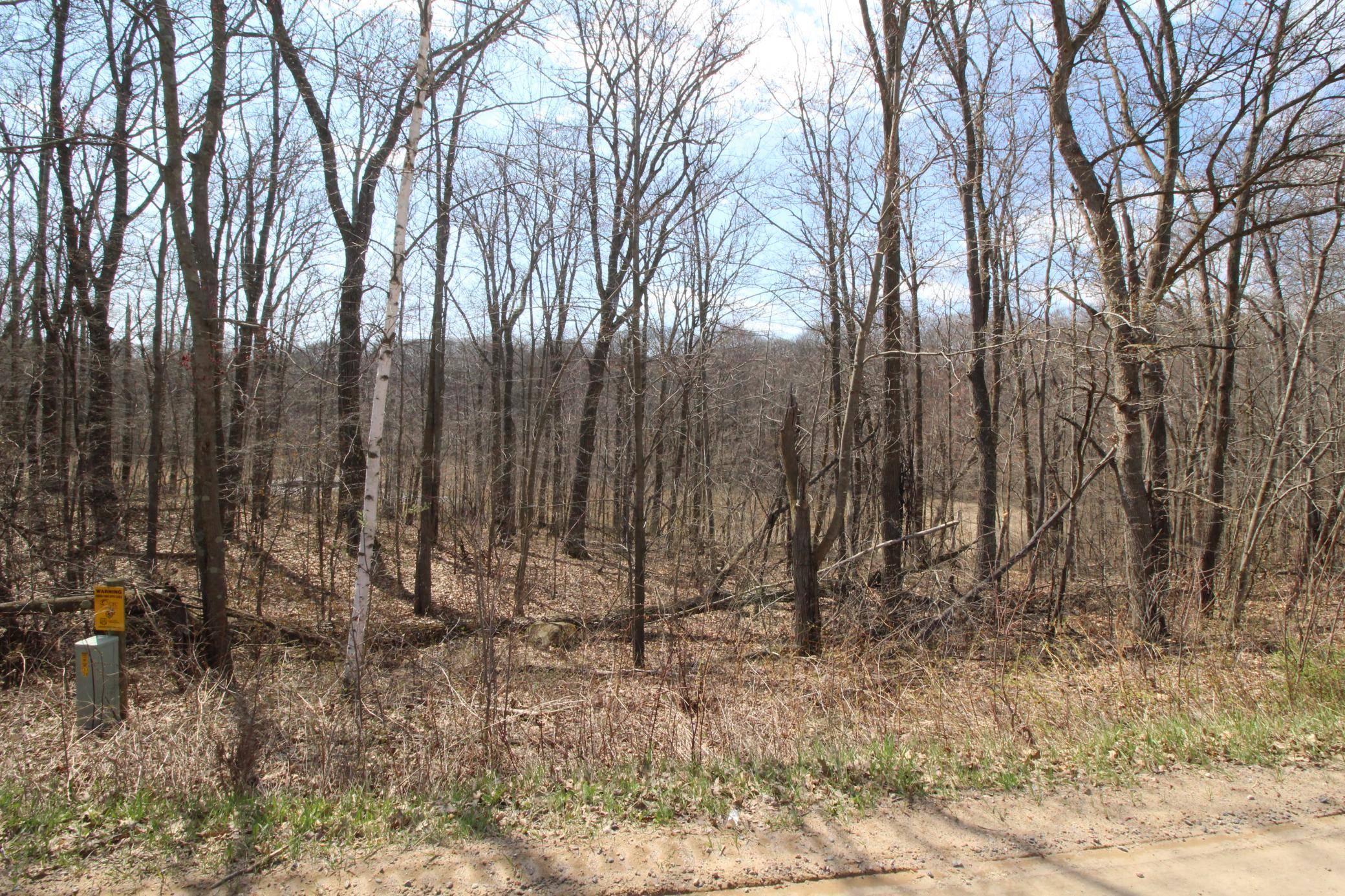 Randall, MN 56475,XXX Lake Camille Dr.