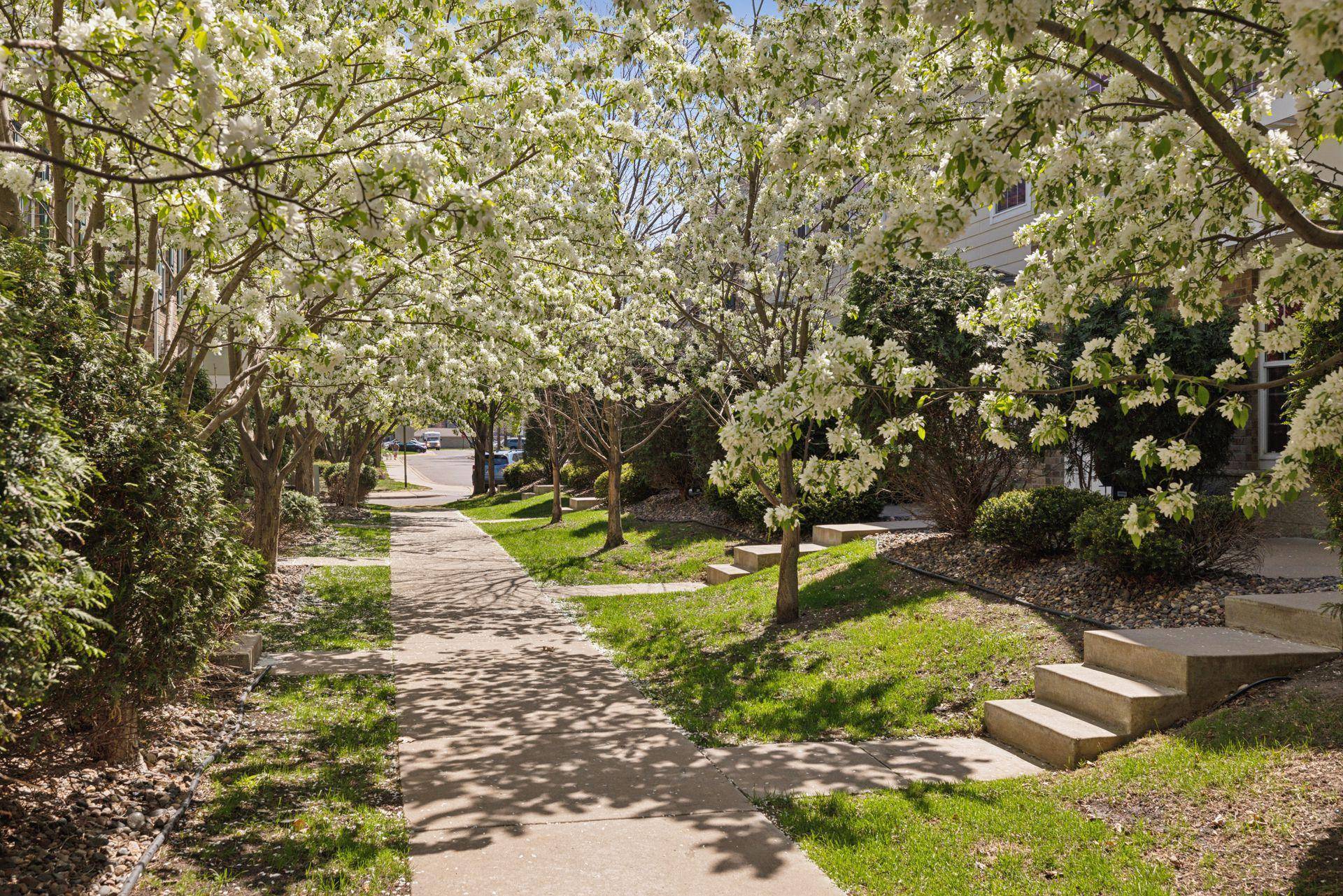 Apple Valley, MN 55124,15340 Founders LN