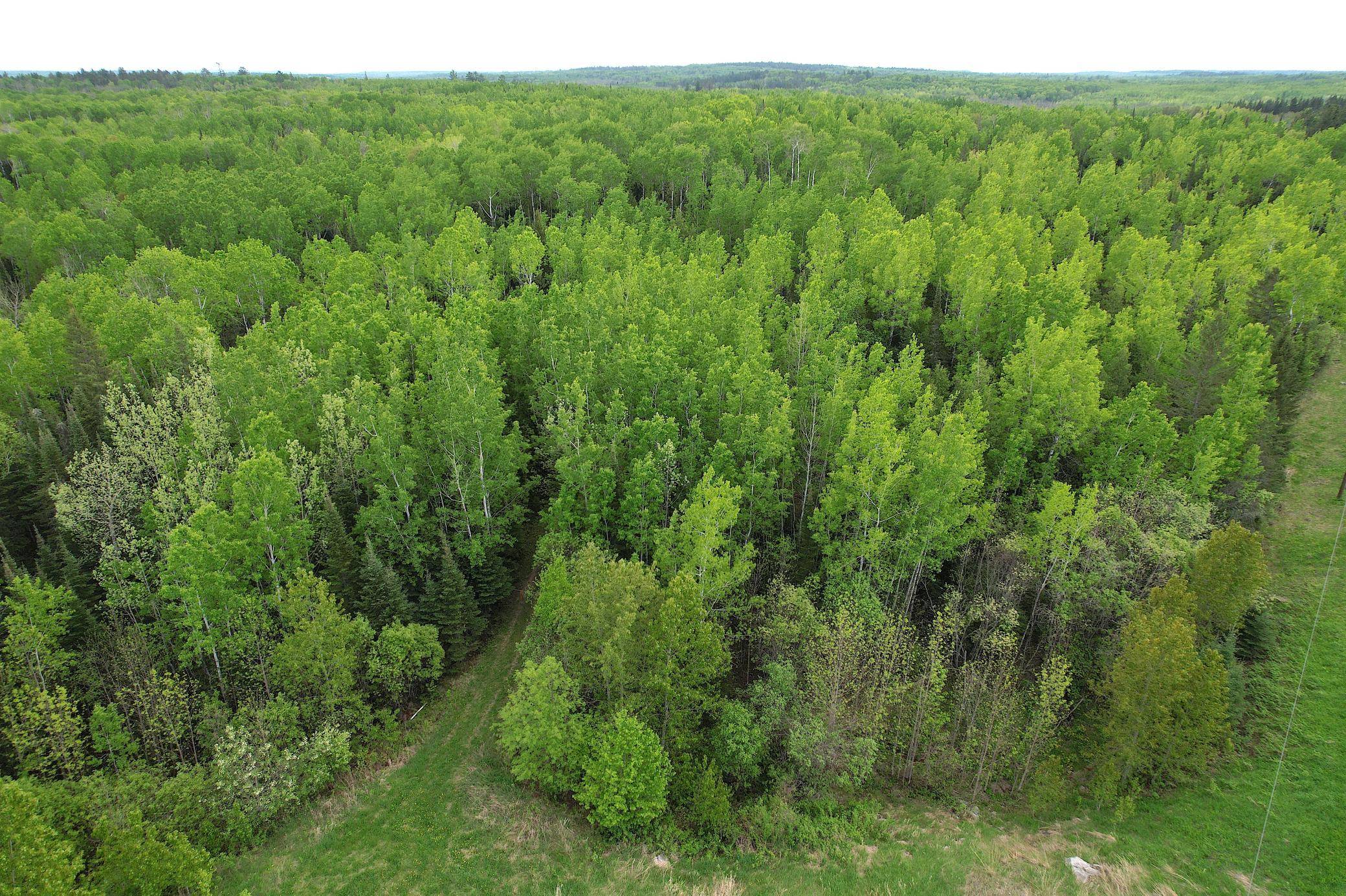 Kabetogama, MN 56669,TBD Gappa RD