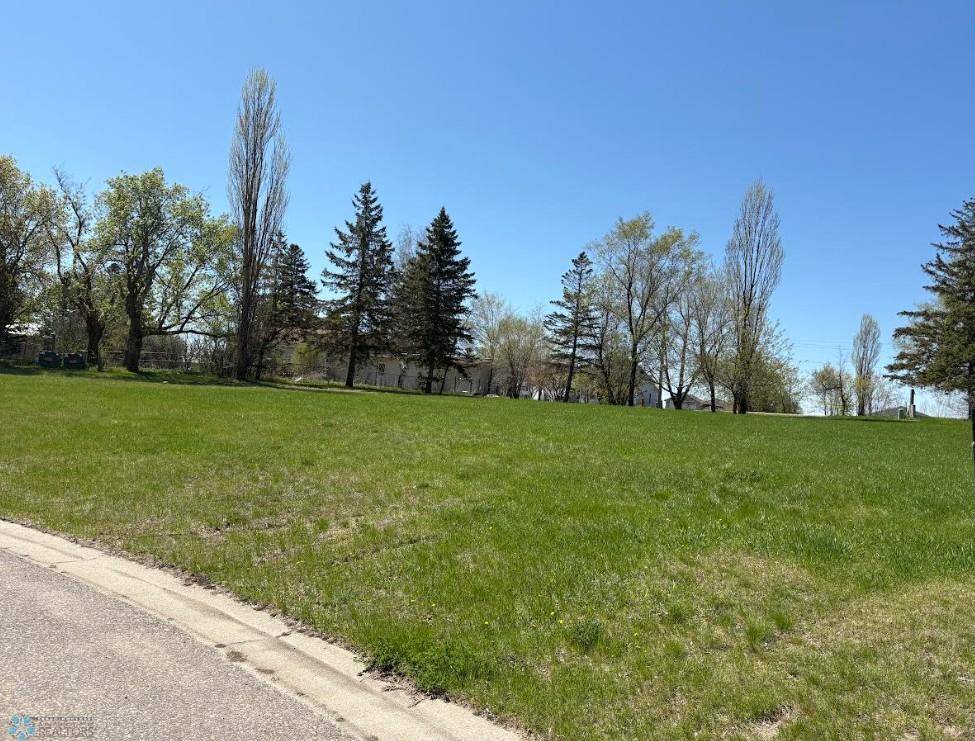 Frazee, MN 56544,1115 Red Willow CIR