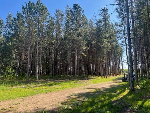 Pine River, MN 56474,2081 16th AVE SW