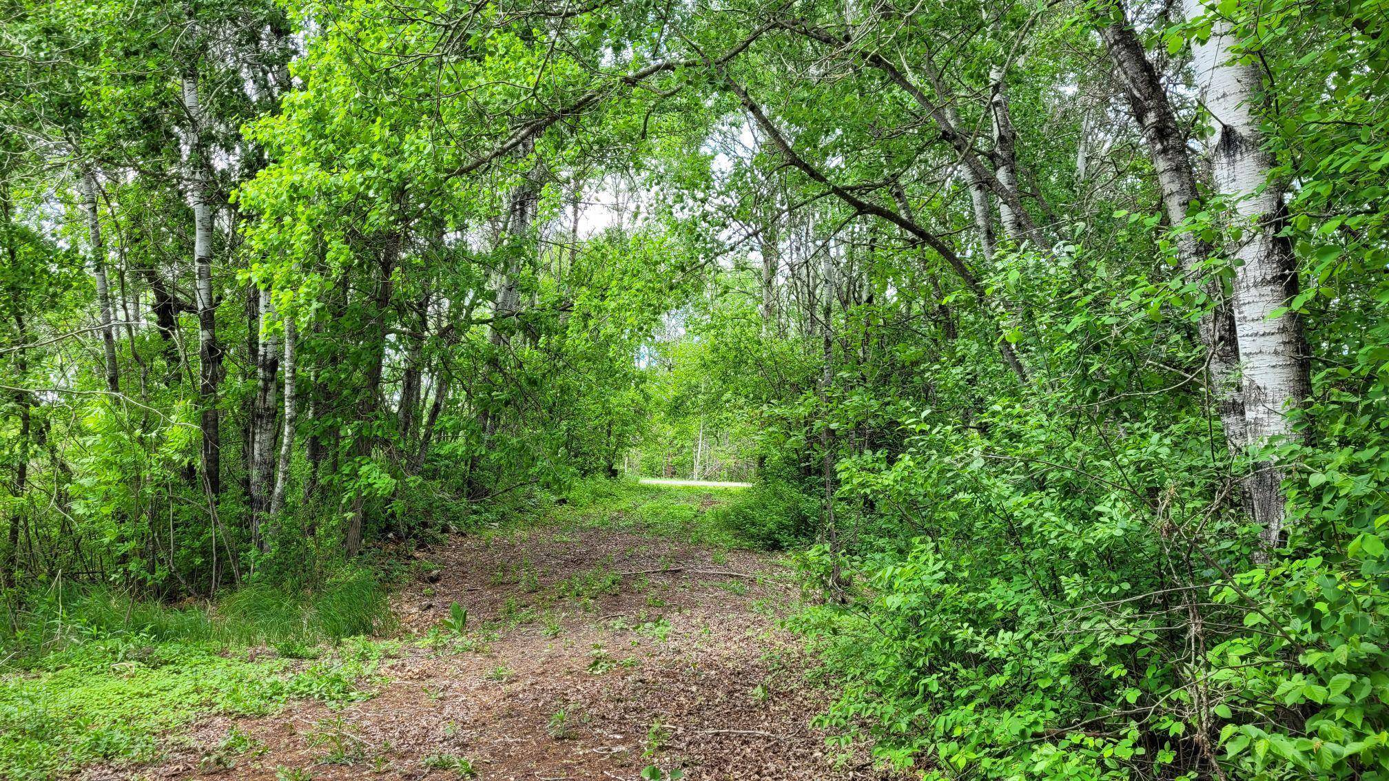 Pine River, MN 56474,TBD* State Highway 84 SW