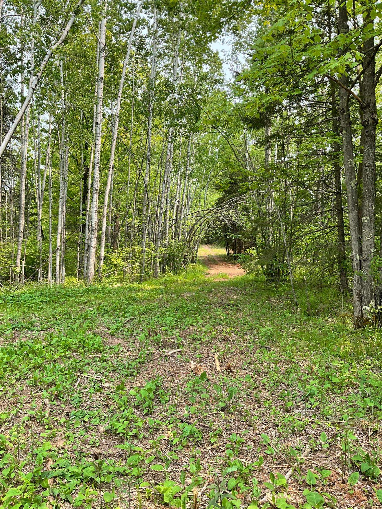 Holyoke, MN 55749,XXX Zinter RD