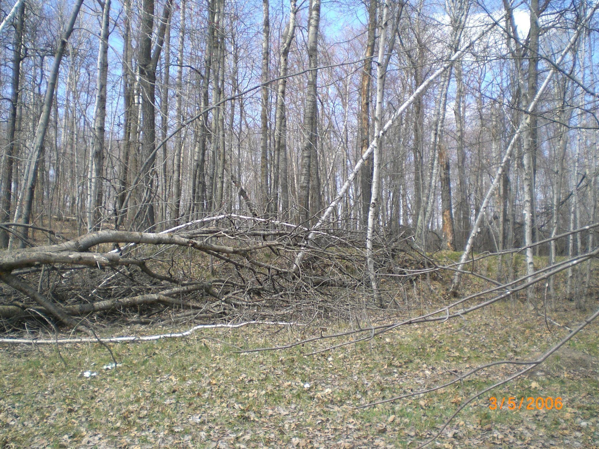 Breezy Point, MN 56472,Lot 211 Catskill CIR
