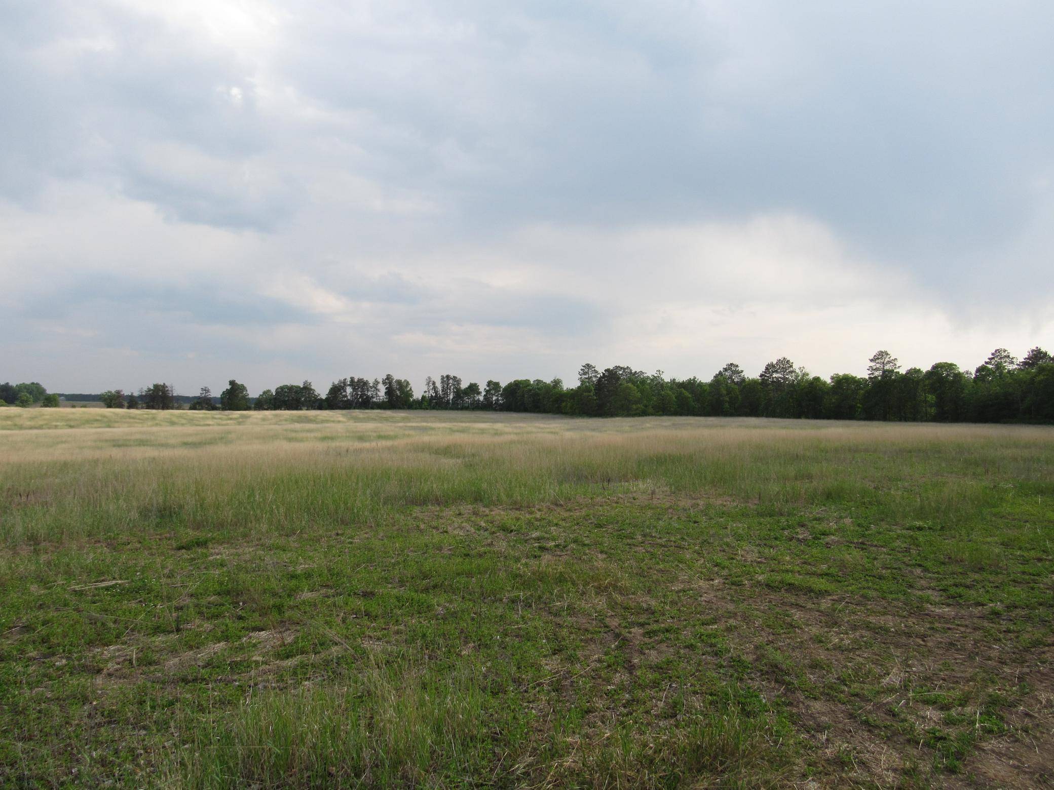 Backus, MN 56435,TBD 12TH STREET SW