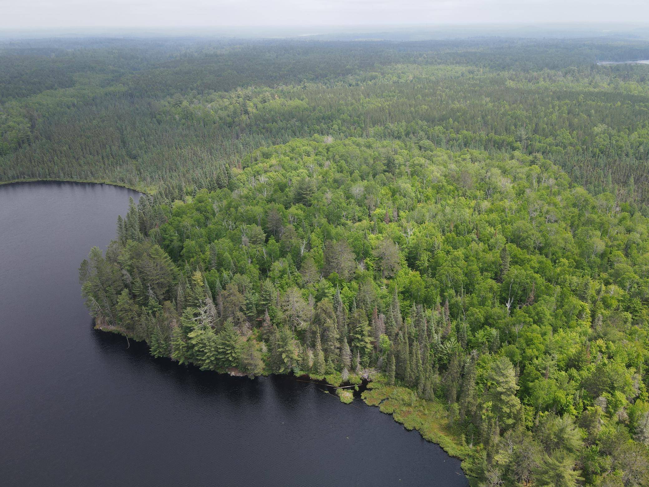 Cook, MN 55723,TBD Holm Logging RD