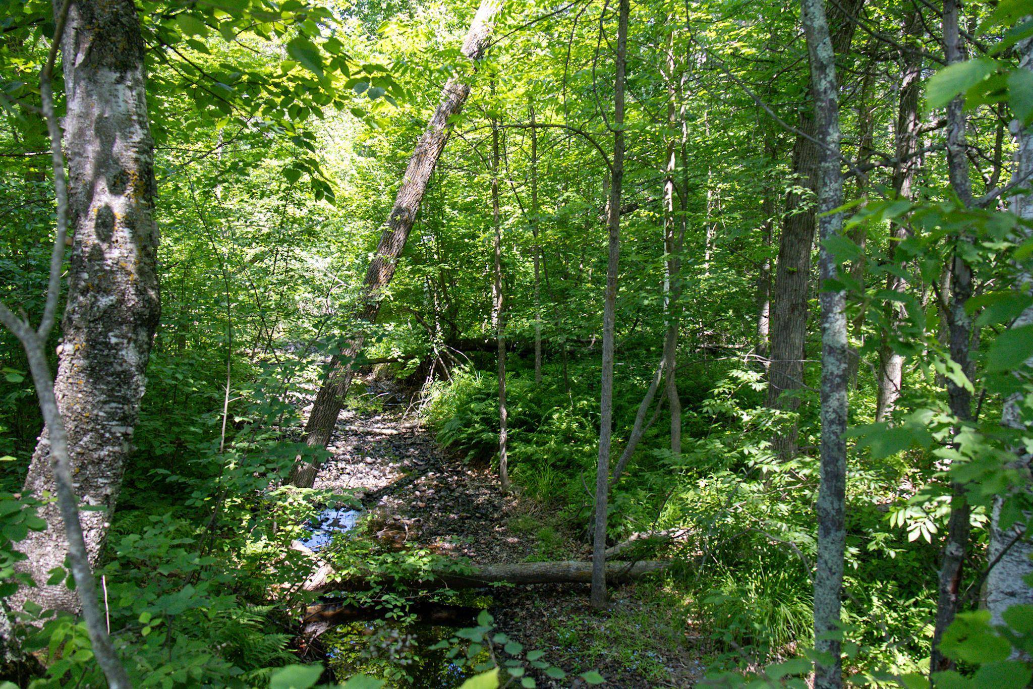 Moose Lake, MN 55767,00 N Riverside RD