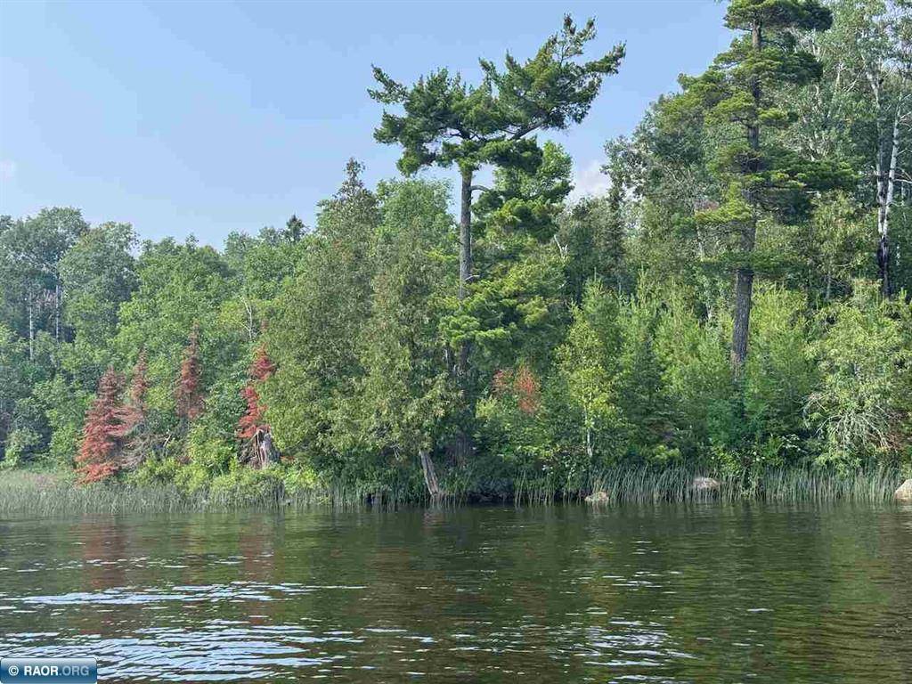 Tower, MN 55790,TBD Lake Vermilion N