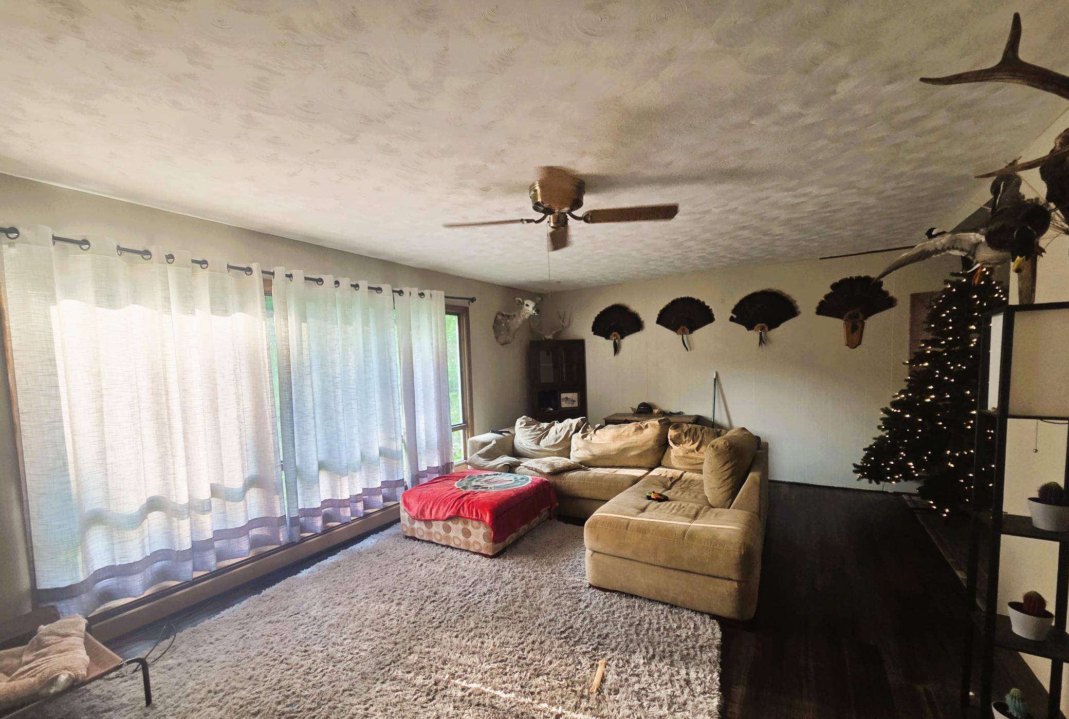 Cohasset, MN 55721,40576 County Road 242