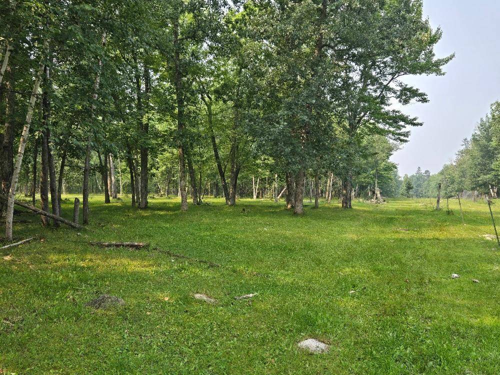 Backus, MN 56435,TBD State 87 SW