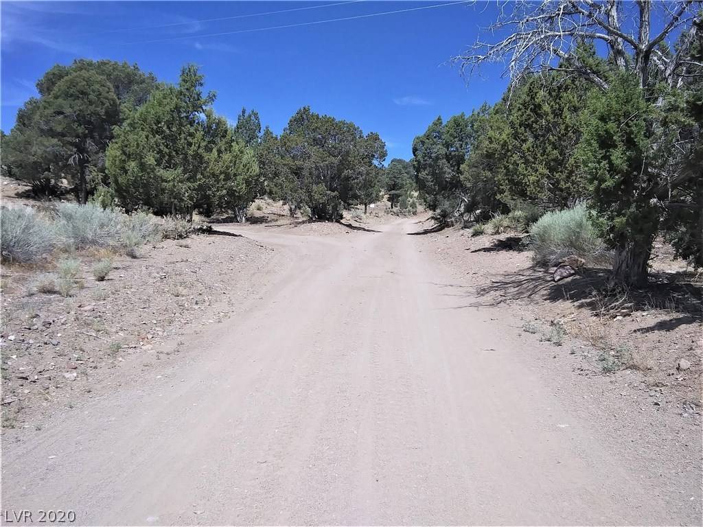 Ursine, NV 89043,14705 SR 322 HWY