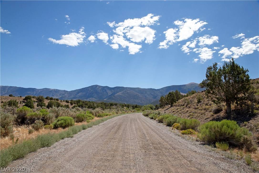 Ely, NV 89301,4900 E BIRD CREEK RD #LOT 8