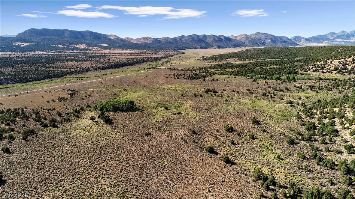 Ely, NV 89301,Duck Creek Development Road