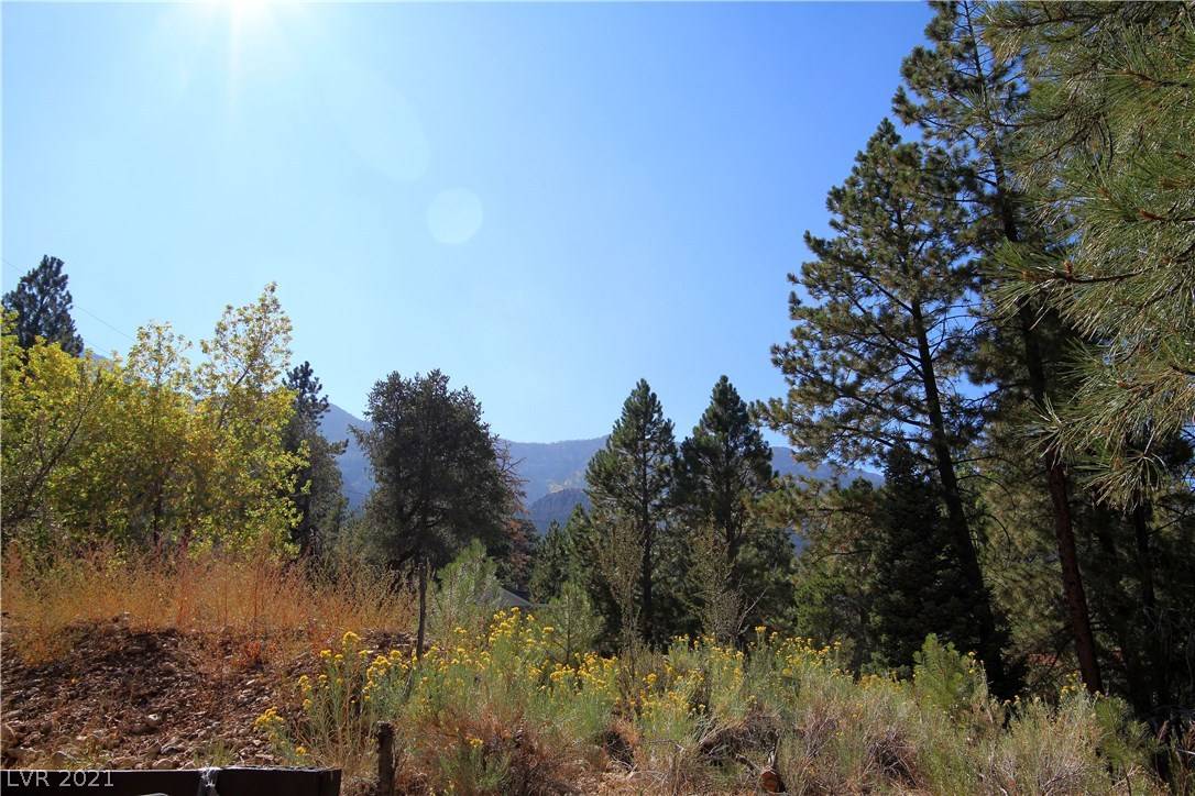 Mount Charleston, NV 89124,3988 Mont Blanc WAY