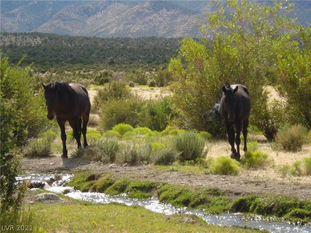 Cold Creek, NV 89124,1 Camp Bonanza RD