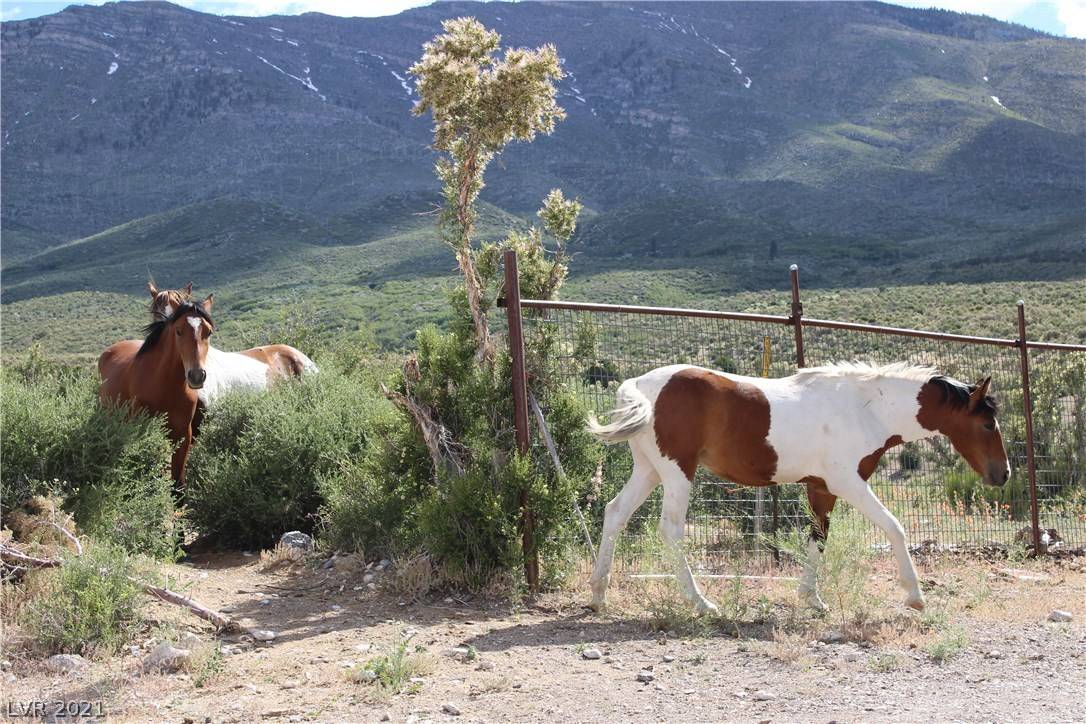 Cold Creek, NV 89124,1 Camp Bonanza RD
