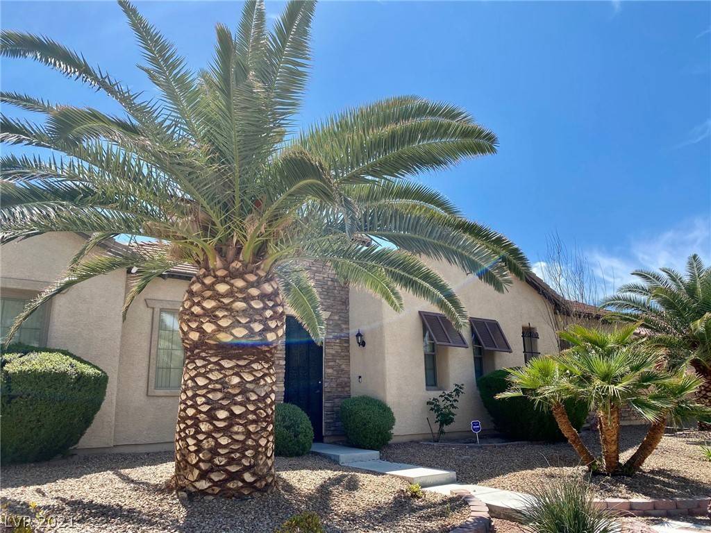 Las Vegas, NV 89120,3541 Wisdom CT