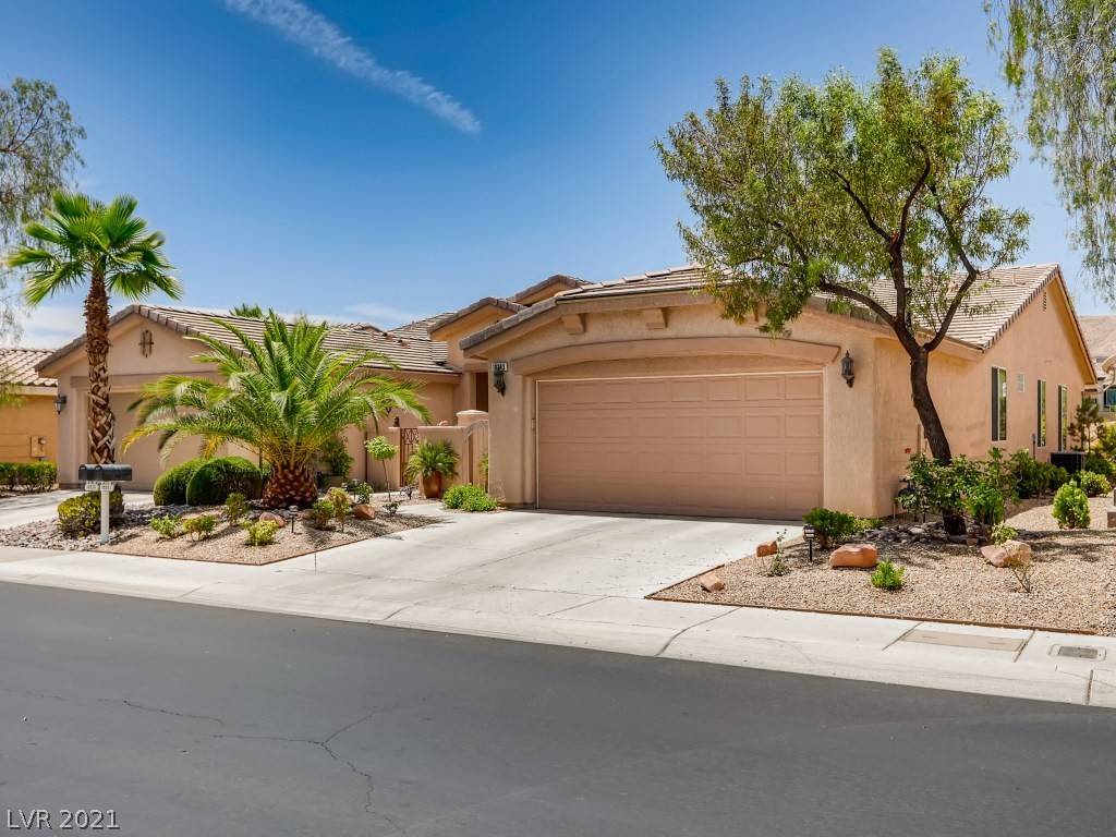 Las Vegas, NV 89135,10243 Maggira PL