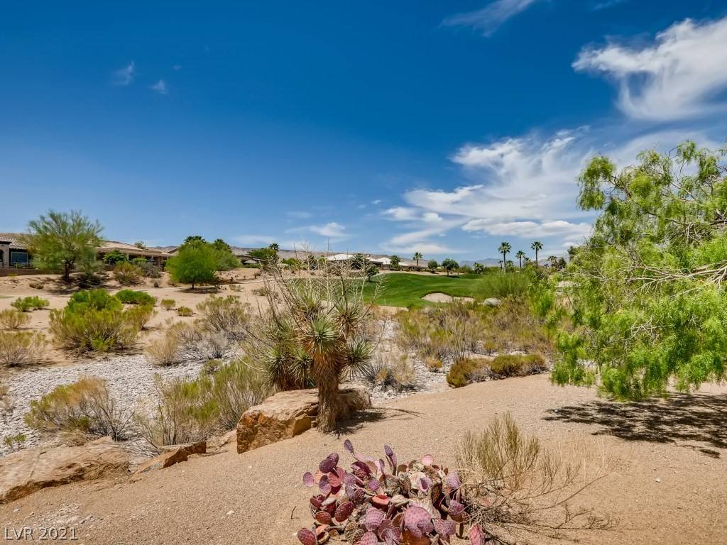 Las Vegas, NV 89135,10243 Maggira PL