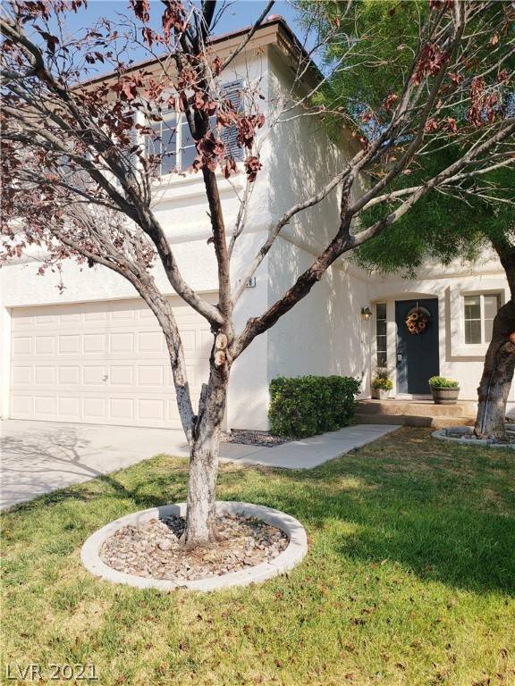 Las Vegas, NV 89183,1698 Adobe Frost CT