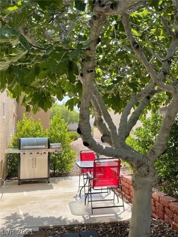 Henderson, NV 89052,1461 Bonner Springs DR