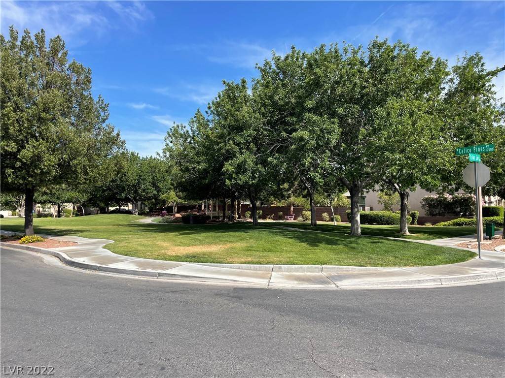 Las Vegas, NV 89135,10562 Calico Pines AVE
