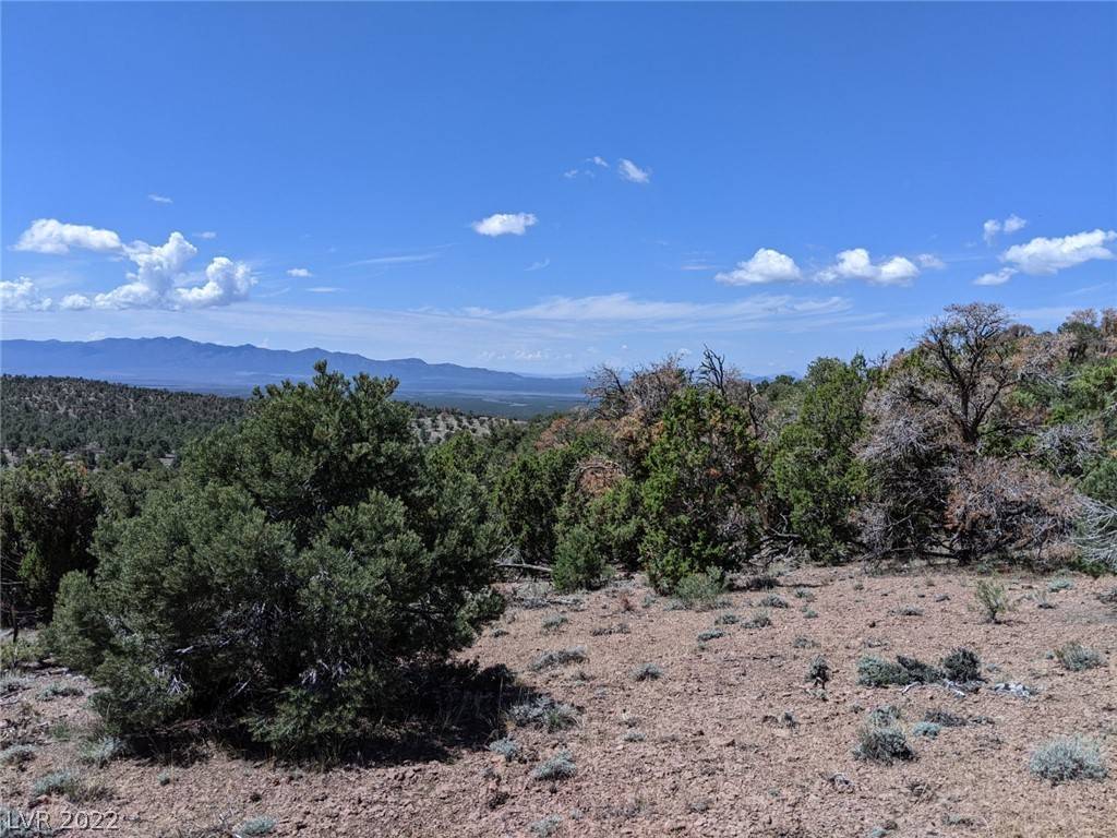 Pioche, NV 89043,Pinion Pine Rd-APN 006-041-32