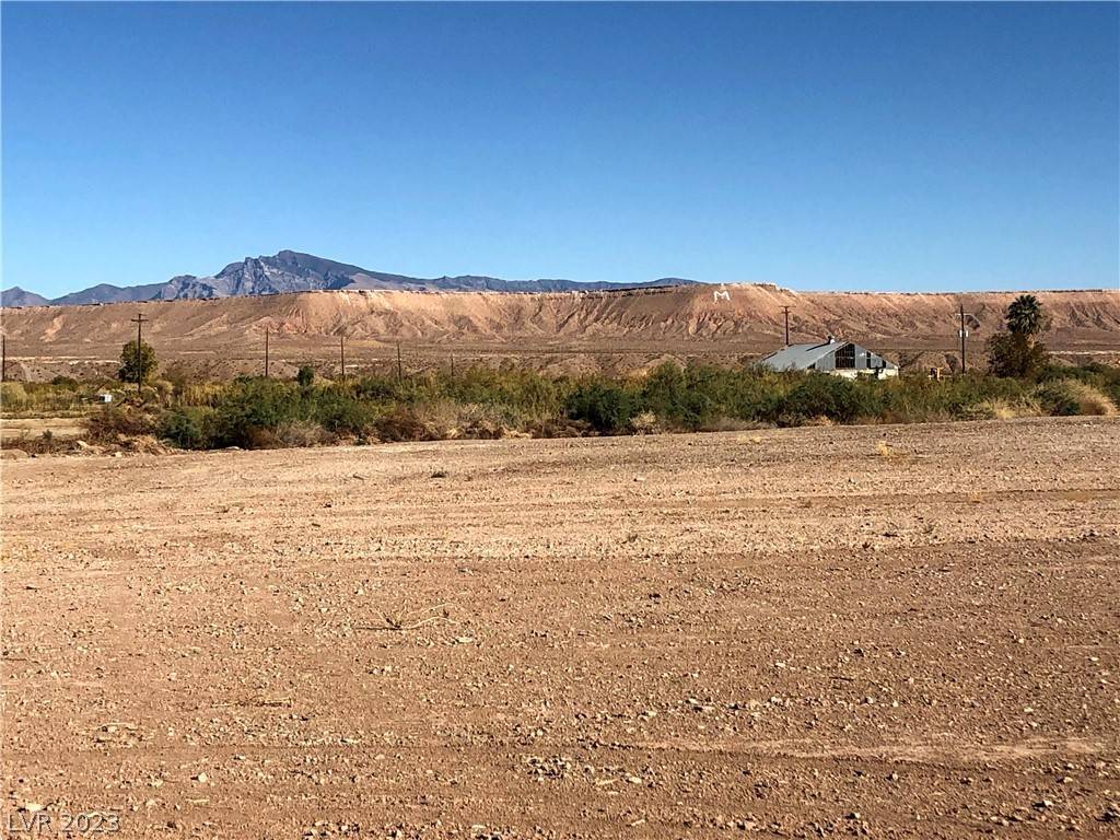 Overton, NV 89040,Cooper Street