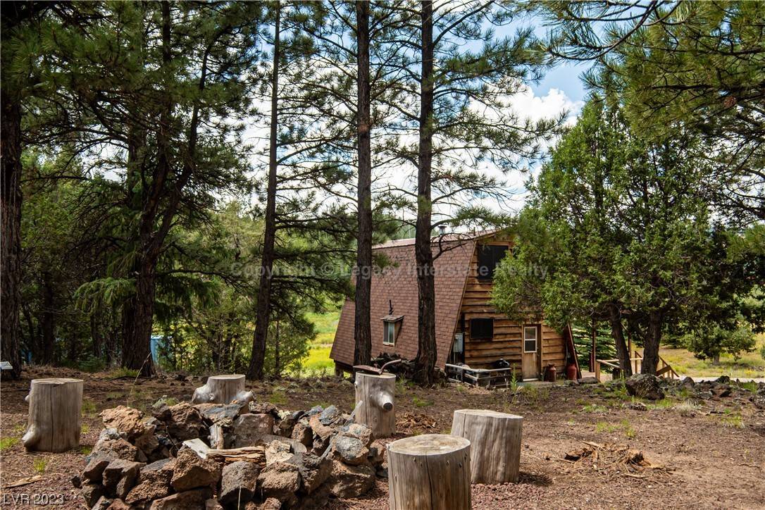 Mammoth Creek, UT 84735,902 E Black Rock CIR