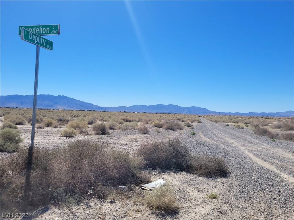 Pahrump, NV 89048,1721 E Deputy ST