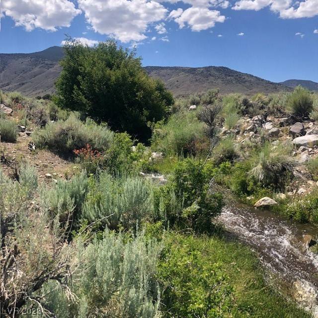 Dyer, NV 89010,131D Wild Horse Run