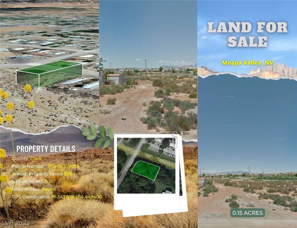 Overton, NV 89040,426 Adelle AVE