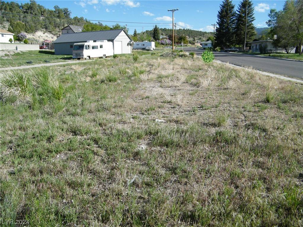 Ely, NV 89301,Mill ST