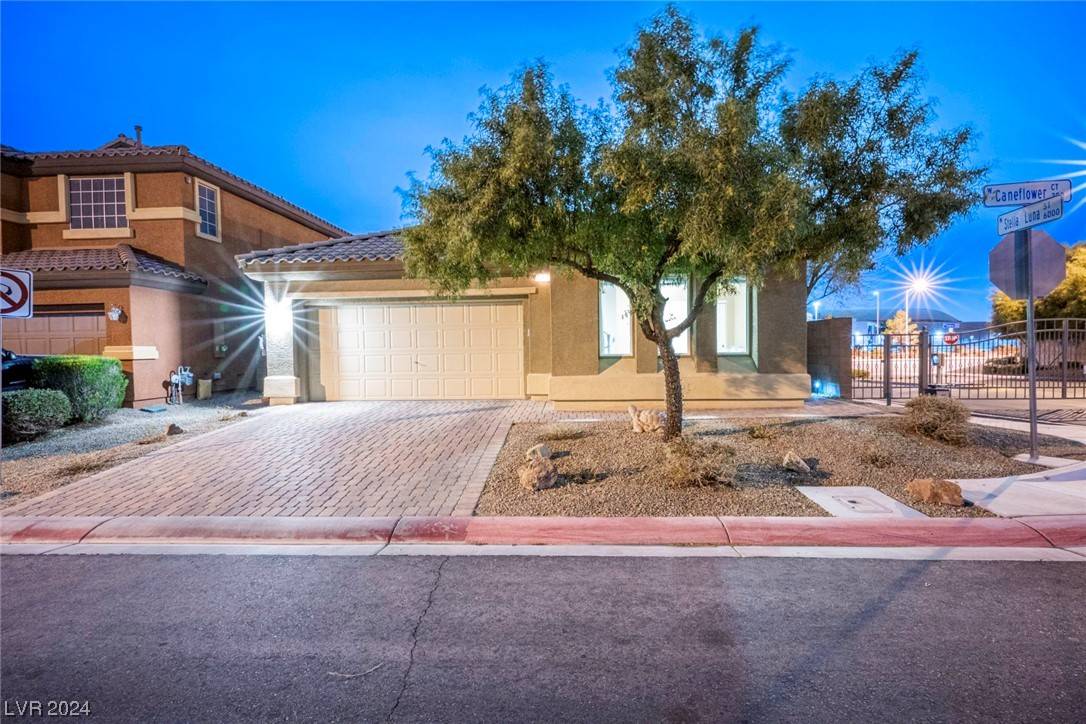 North Las Vegas, NV 89031,331 Caneflower CT