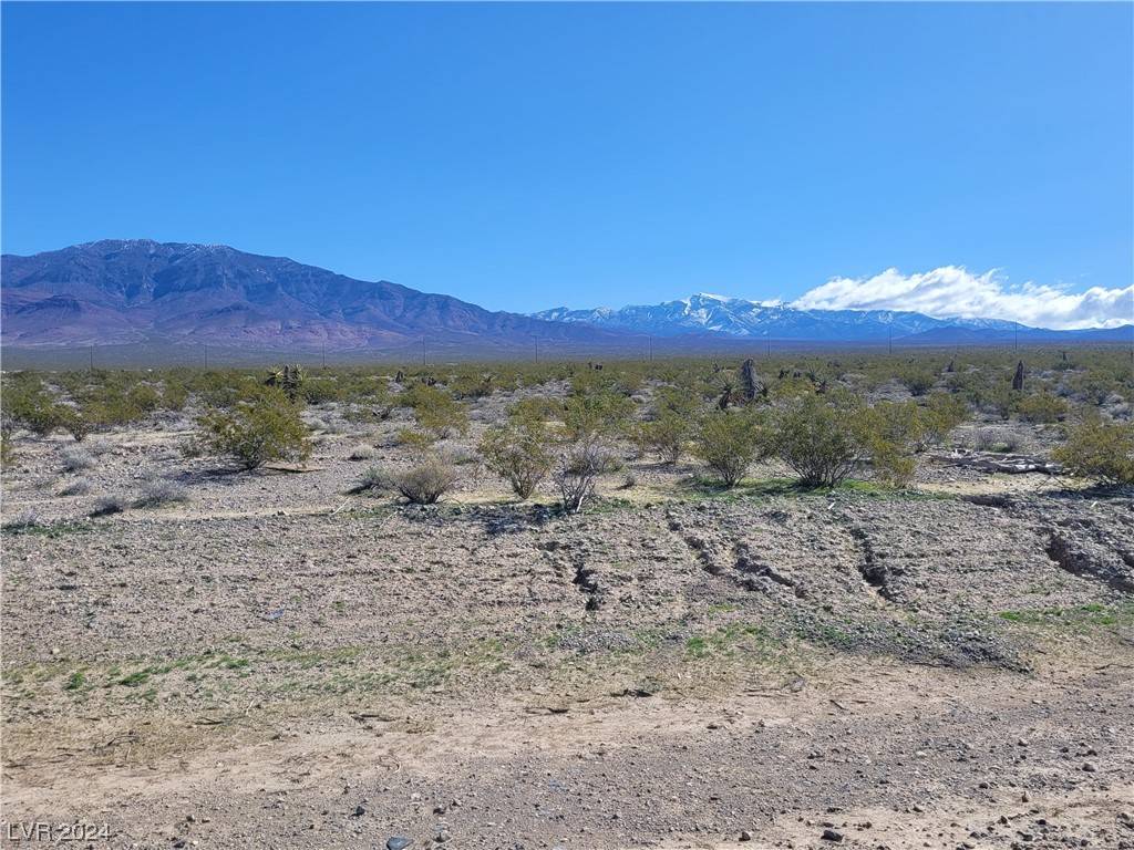 Pahrump, NV 89060,4421 N Panorama RD