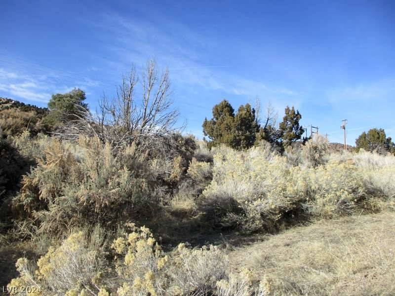 Pioche, NV 89043,Nevada Hwy 322 (2.46 Ac)