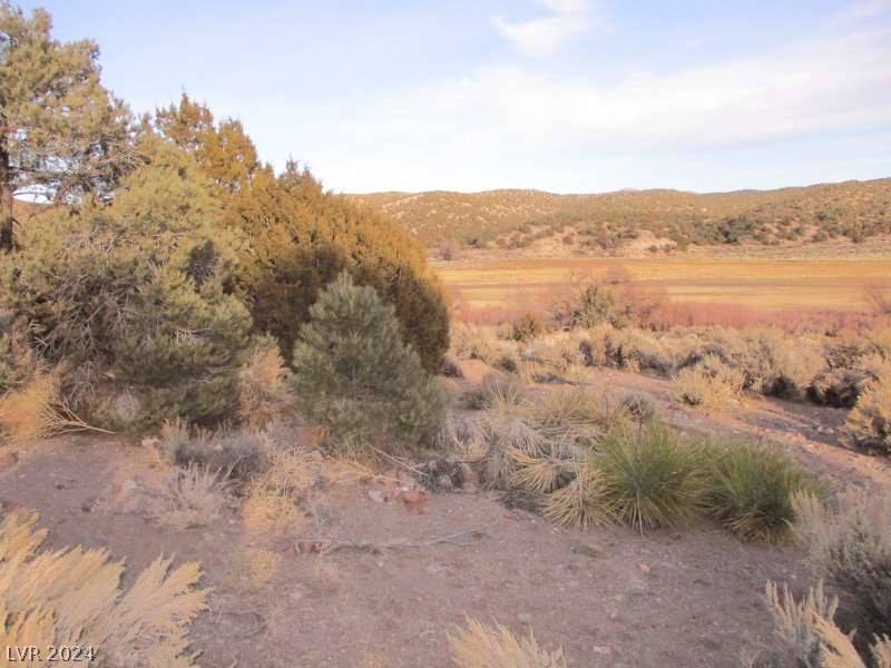 Pioche, NV 89043,Nevada Hwy 322 (9.86 Ac)