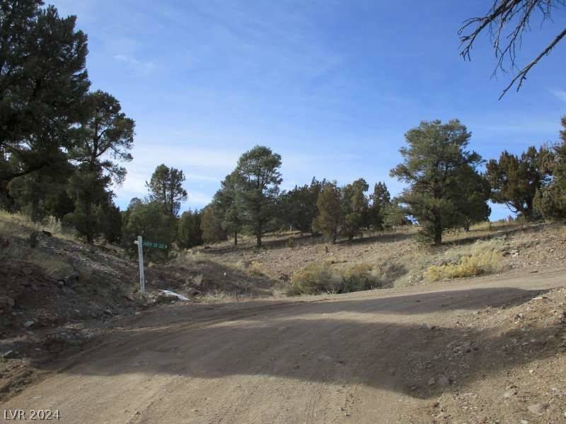 Pioche, NV 89043,Nevada Hwy 322 (13.753 Ac)