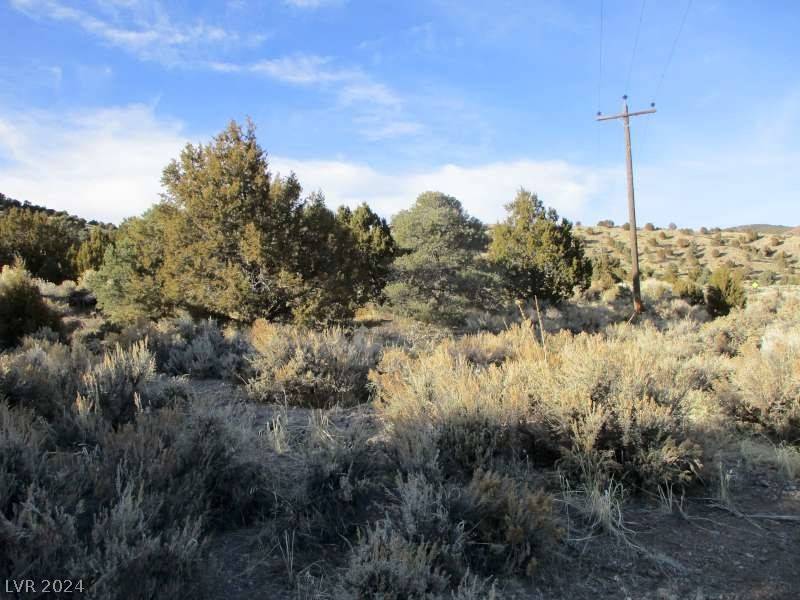 Pioche, NV 89043,Nevada Hwy 322 (30.15 Ac)