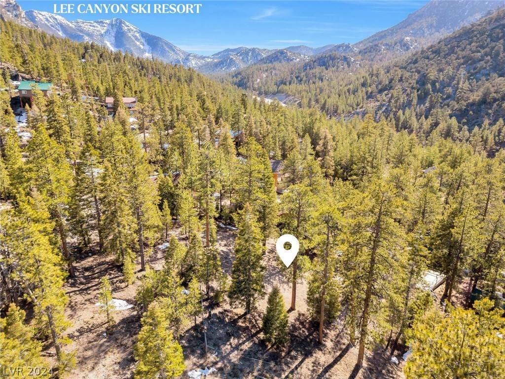 Mount Charleston, NV 89124,5215 Whispering Deer DR