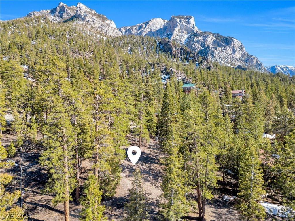 Mount Charleston, NV 89124,5215 Whispering Deer DR