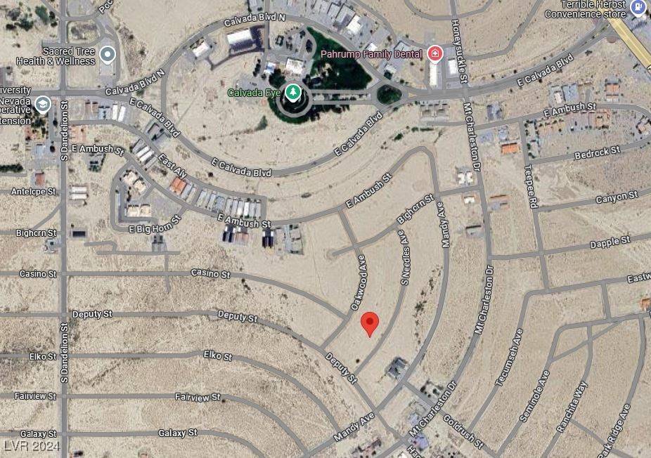 Pahrump, NV 89048,2260 Needles WAY