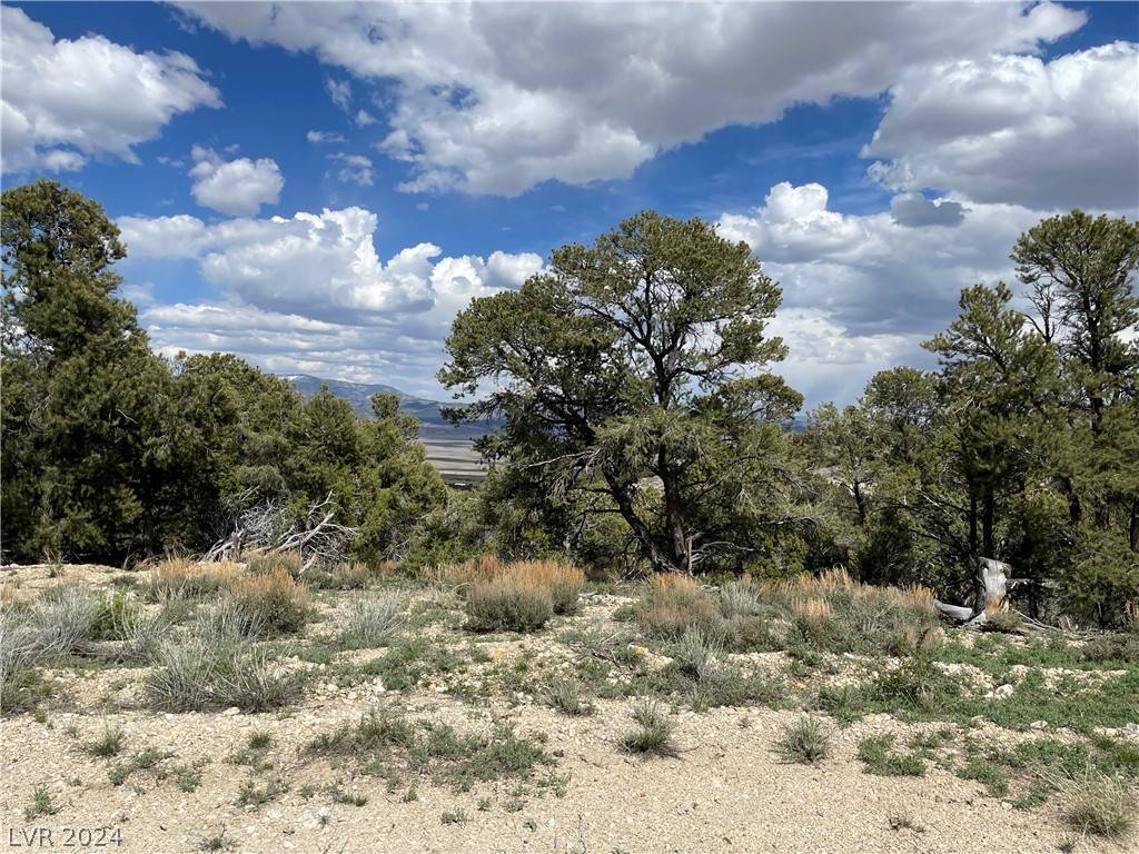 Ely, NV 89301,350 E Ward Mountain DR