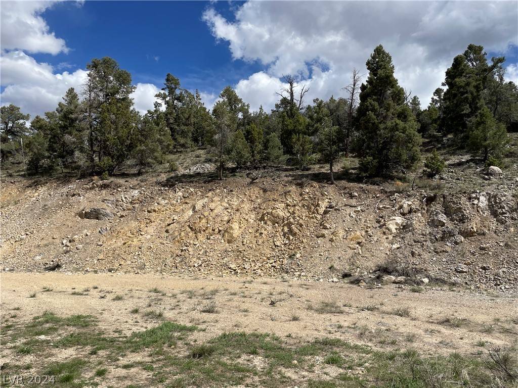 Ely, NV 89301,350 E Ward Mountain DR