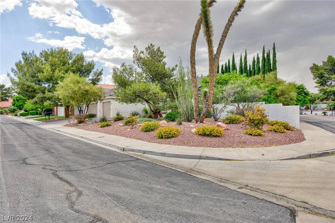 Las Vegas, NV 89117,9716 Cascade Falls AVE